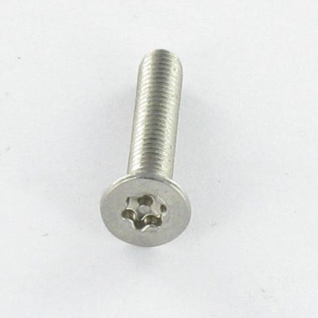 1 x Vis métaux Inox A2 Inviolable Tête fraisée TORX T30 avec téton M6X30