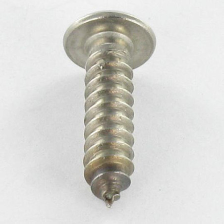 1 x Vis tôle Inviolable Inox A2 Tête cylindrique TC TORX T25 avec téton 4.8X25