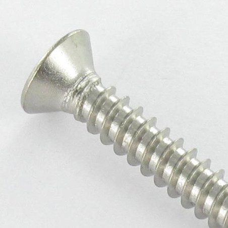 1 x Vis tôle Inviolable Tête fraisée Snake eyes 4.2X16 Inox A2