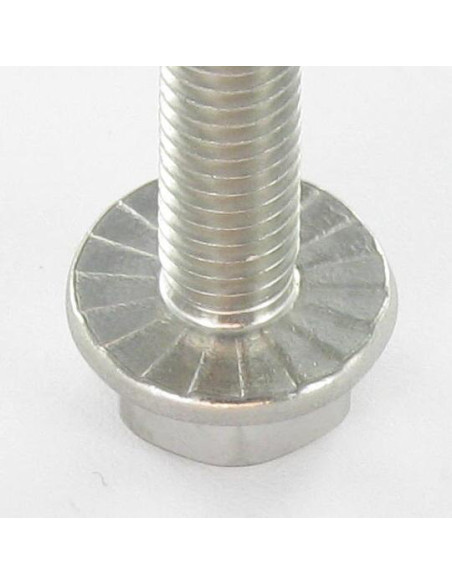 1 x Vis métaux Tête hexagonale TH Embase collerette crantée M6X20 Inox A2