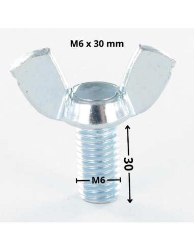 1 x Vis Oreilles M6X30 Forme amEricaine Acier...