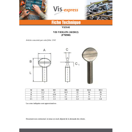 1 x Vis VIOLON M6X25 Acier zingué