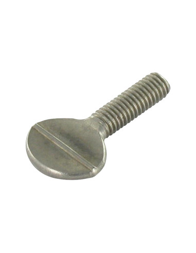 1 x Vis VIOLON M8X40 Inox A2