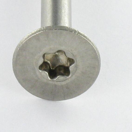 1 x VBA Vis bois agglo Inox A2 Tête fraisée 5X55 Filetée sur 36 TORX T25
