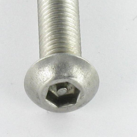 1 x Vis métaux Inviolable BHC (Tête Bombée Hexagonal creux) avec téton M5X16 Inox A2