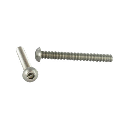 1 x Vis métaux Inviolable BHC (Tête Bombée Hexagonal creux) avec téton M6X12 Inox A2