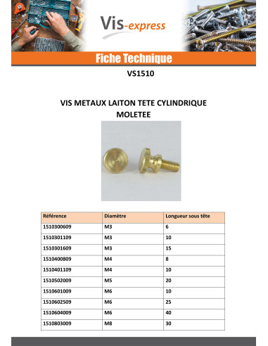 1 x Vis métaux Laiton Tête cylindrique TC...