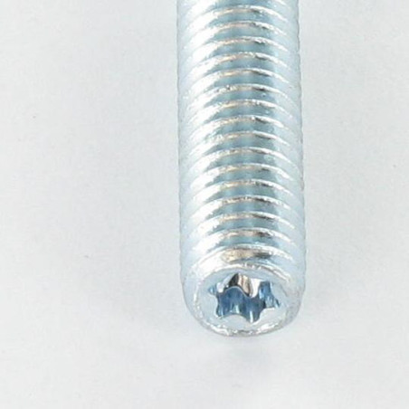 1 x Goujon fileté Fischer STST TORX T25 Acier zingué 8X50