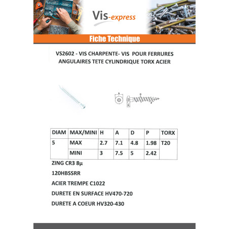 1 x Vis FERRURE ANGULAIRE Tête cylindrique TC TORX T20 Pointe antifendage type 17 Acier zingué 5X35