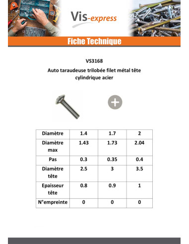 1 x Vis autotaraudeuse Filet Métaux Tête...
