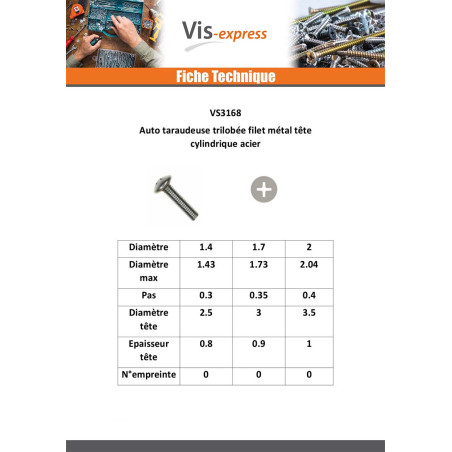 1 x Vis autotaraudeuse Filet Métaux Tête cylindrique TC Phillips M2X5 Acier zingué microvis