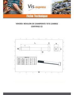 Boulon (vendu avec Ecrou) Charpente M18X275 Tête carrée... 2