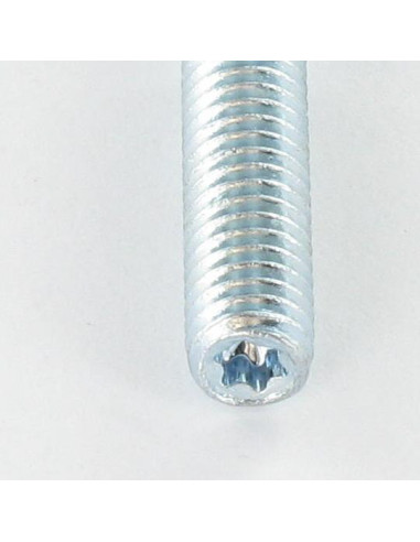 1 x Goujon fileté Fischer STST TORX T25 Acier...