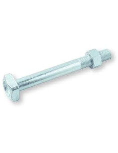 Boulon (vendu avec Ecrou) Charpente M20X275 Tête carrée...