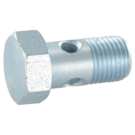 1 x Vis creuse simple ou vis banjos Tête hexagonale TH M10X19 Pas fin Pas de 100 Acier zingué