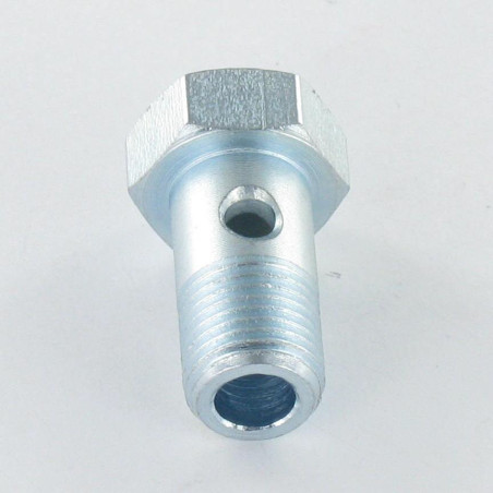 1 x Vis creuse simple ou vis banjos Tête hexagonale TH M10X19 Pas fin Pas de 100 Acier zingué