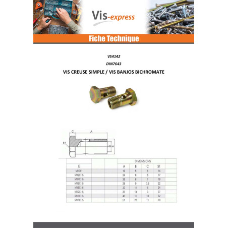 1 x Vis creuse simple ou vis banjos Tête hexagonale TH M10X19 Pas fin Pas de 100 Acier zingué