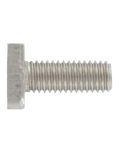 1 x Vis métaux Tête marteau 13X31X6 M12X60 Inox...