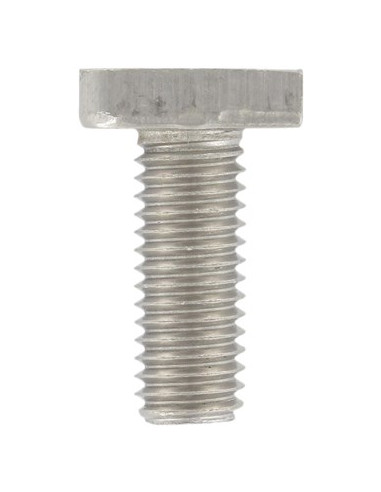 1 x Vis métaux Tête marteau 13X31X6 M12X60 Inox...