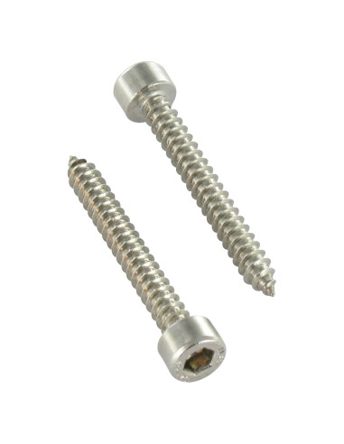 1 x Vis tôle CHC BTR Inox A2 4.8X32