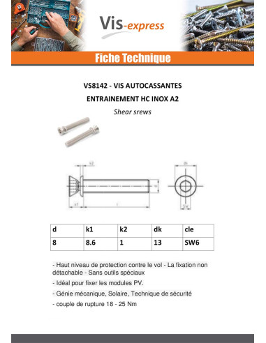 1 x Vis métaux Inviolable Auto cassante...