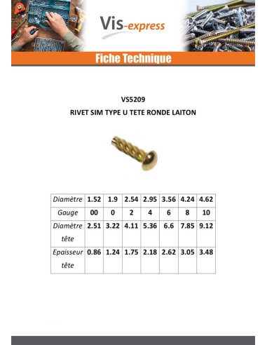 1 x Rivet SIM ou fausse vis à frapper Type U...