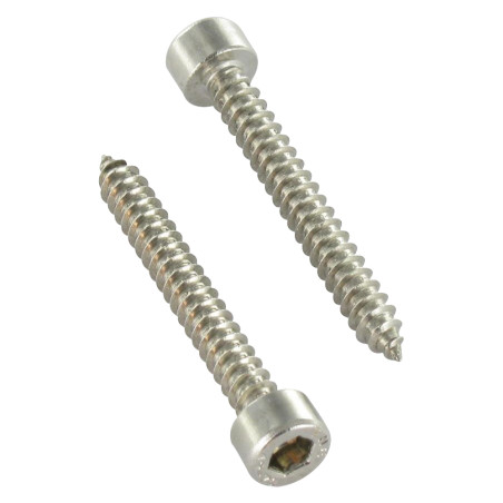 1 x Vis tôle CHC BTR Inox A2 4.8X19