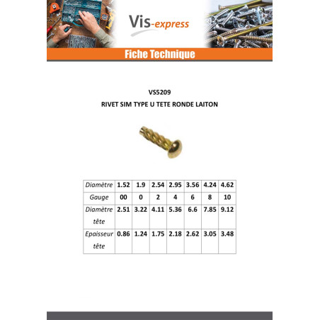 1 x Rivet SIM ou fausse vis à frapper Type U Tête ronde TR Acier laitonne 1.52X 1/8