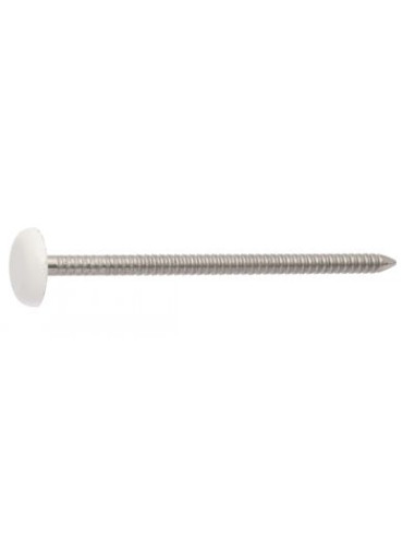 1 x Pointe ANNELEE Tête PLASTIFIEE 2.1X30 Inox A4