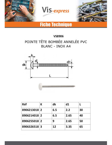 1 x Pointe ANNELEE Tête PLASTIFIEE 2.1X30 Inox A4