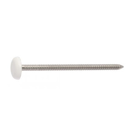 1 x Pointe ANNELEE Tête PLASTIFIEE 2.5X50 Inox A4