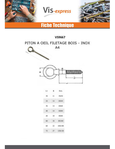 1 x Piton Bois Oeil 6X40 Oeil 14 Inox A4