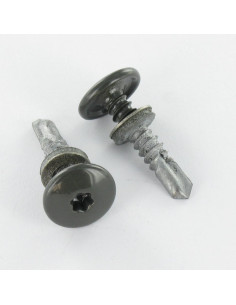 Vis autoperceuse Tête cylindrique bombée TCB TORX T25...