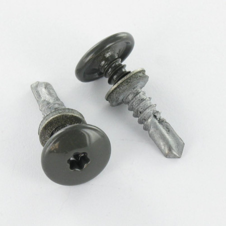 1 x Vis autoperceuse Tête cylindrique bombée TCB TORX T25 5.5X26 +EPDM Bimétal RAL7022 gris tarre d'ombre
