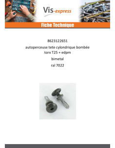 Vis autoperceuse Tête cylindrique bombée TCB TORX T25... 2