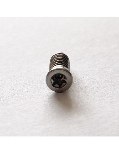 1 x Vis métaux Tête fraisée TORX T15 M5X13.5...