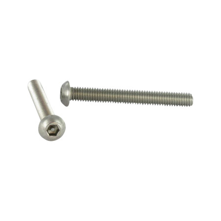 1 x Vis métaux Inviolable BHC (Tête Bombée Hexagonal creux) avec téton M4X12 Inox A2
