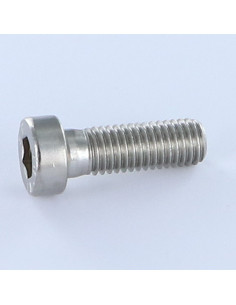 Vis métaux CHC BTR BASSE/TROU Clé de 5 HC5 Inox A2 M8X10