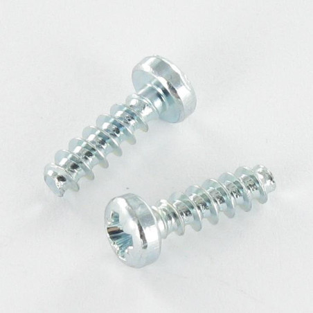 1 x Vis pvc Tête cylindrique bombée TCB Pozi 2.5X8 Acier zingué microvis