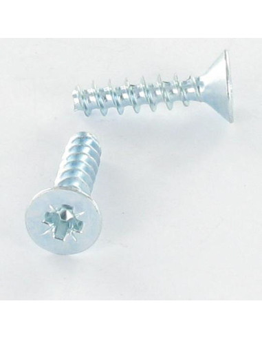 1 x Vis pvc Tête fraisée Pozi N°2 4X10 Acier...