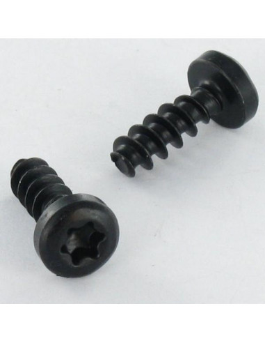 1 x Vis pvc Tête cylindrique TC TORX T10 3X8...
