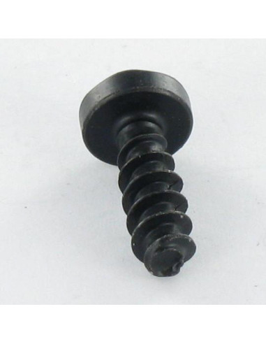 1 x Vis pvc Tête cylindrique TC TORX T10 3X8...