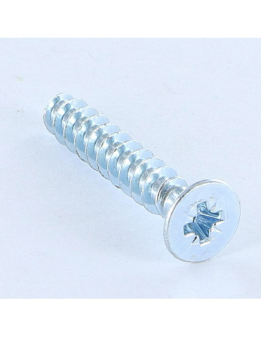 1 x Vis pvc Tête fraisée Pozi 5X30 Filet 30...