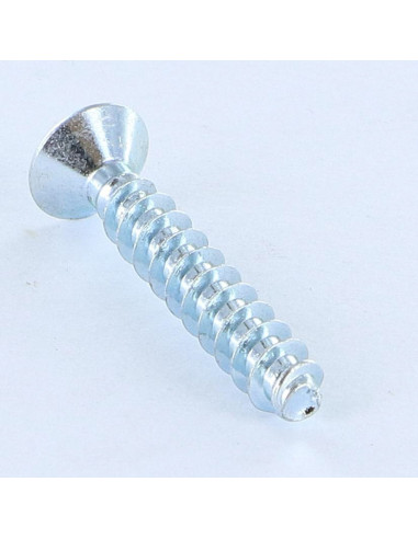 1 x Vis pvc Tête fraisée Pozi 5X30 Filet 30...