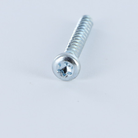 1 x Vis pvc Tête cylindrique TC TORX T10 3X16 1452 Acier zingué microvis