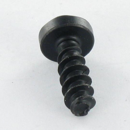 1 x Vis pvc Tête cylindrique TC TORX T20 4X12 Acier zingué noir