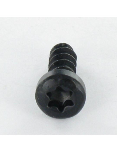 1 x Vis pvc Tête cylindrique TC TORX T20 4X12...