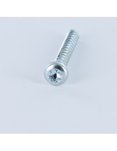 1 x Vis pvc Tête cylindrique TC T7 2.5X12 Acier...