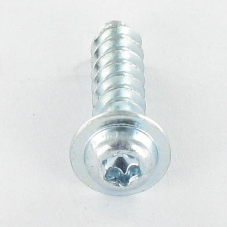 1 x Vis pvc Tête cylindrique TC TORX T20 4X20 Acier zingué