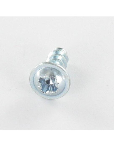 1 x Vis pvc Poelier Pozi N°2 4X8 Acier zingué